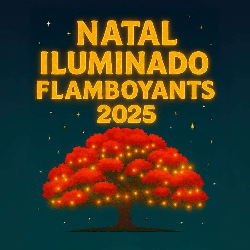 Natal Iluminado Flamboyants 2025 (Concurso)